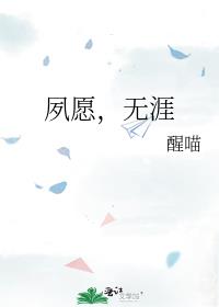 夙愿,无涯