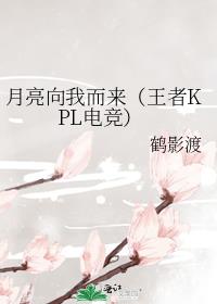 月亮向我而来(王者KPL电竞)